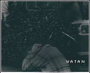 252.gif