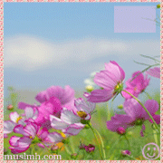 296.gif