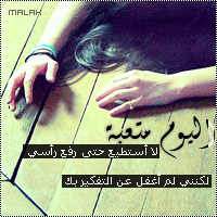 313.gif