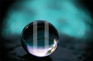 347.gif