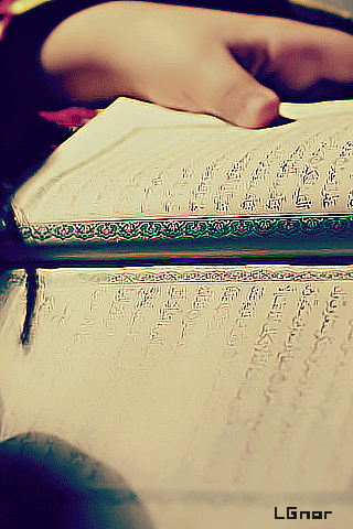 527.gif