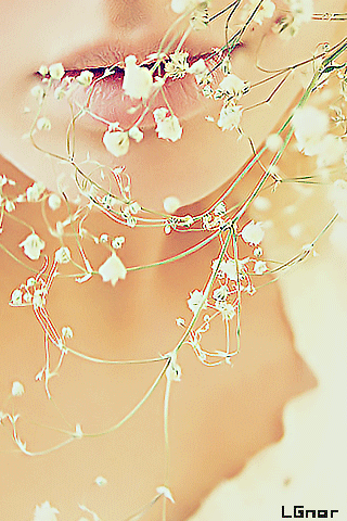 529.gif