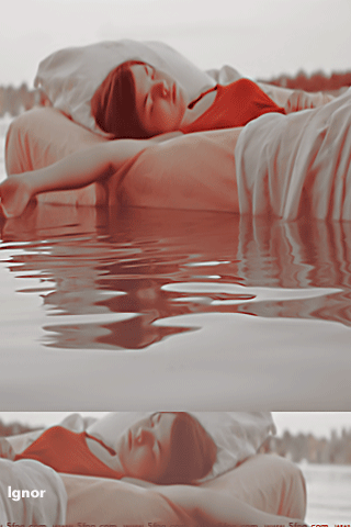 544.gif