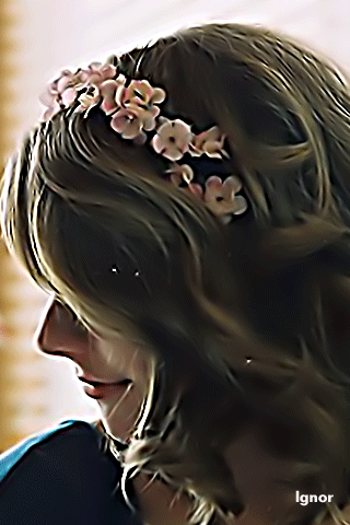 546.gif