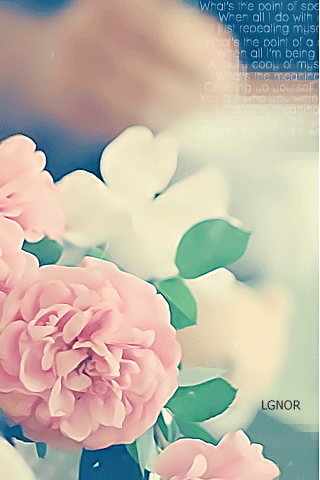 560.gif