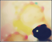 655.gif