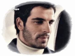 673.gif