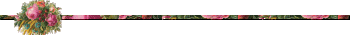 1036.gif