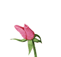 1098.gif