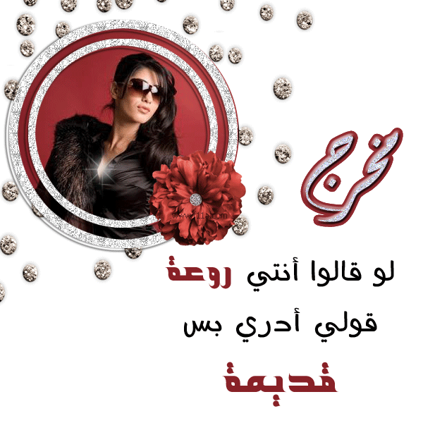 1231.gif