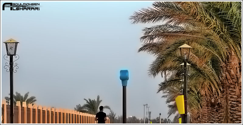 1310.jpg