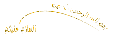 14.gif