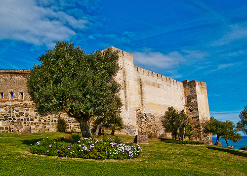 1514.jpg