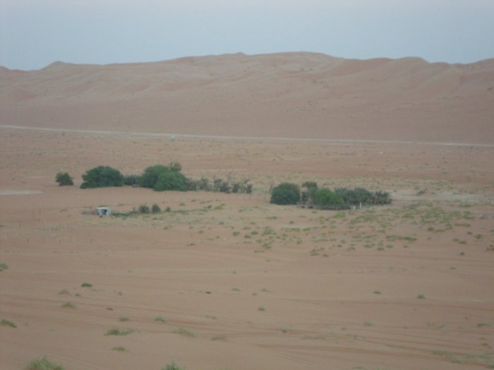 1702.jpg