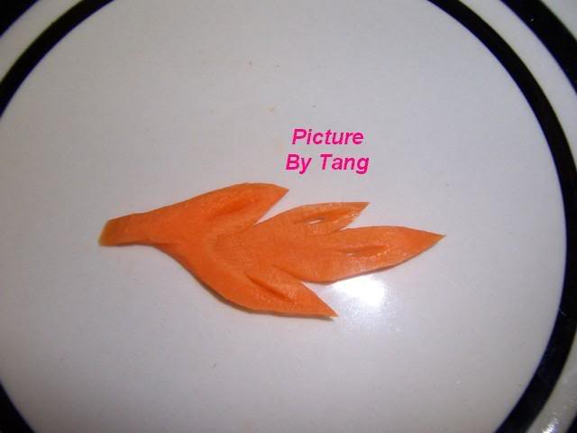 213.jpg