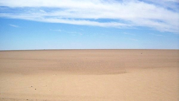 2290.jpg