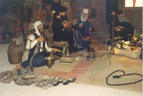 2353.jpg