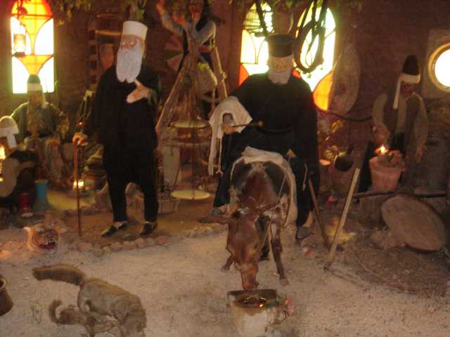 2355.jpg