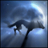 243.gif