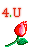 248.gif