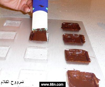 2955.jpg