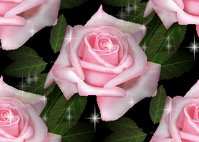 311.gif