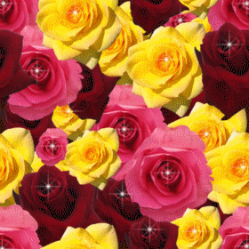 324.gif