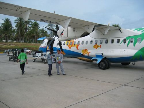3252.jpg