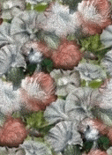 327.gif