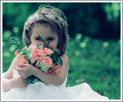 397.gif