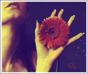 401.gif