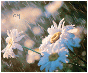 402.gif