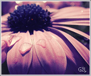 414.gif