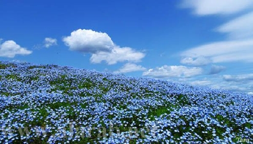 4185.jpg