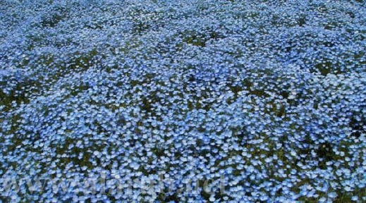 4189.jpg
