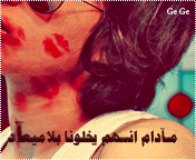 446.gif