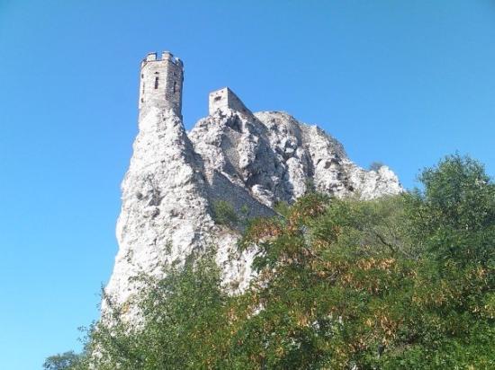 4540.jpg