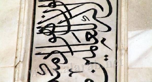 4775.jpg