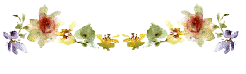 517.gif