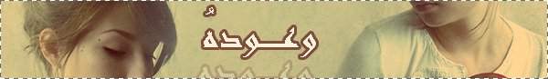 517.jpg