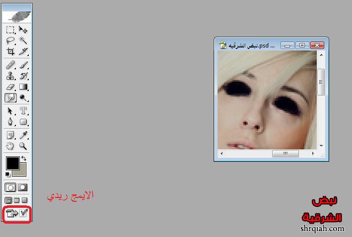 536.jpg