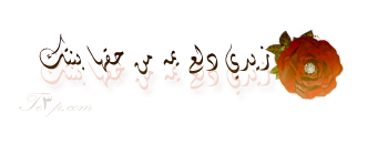 567.png