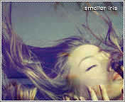 921.gif