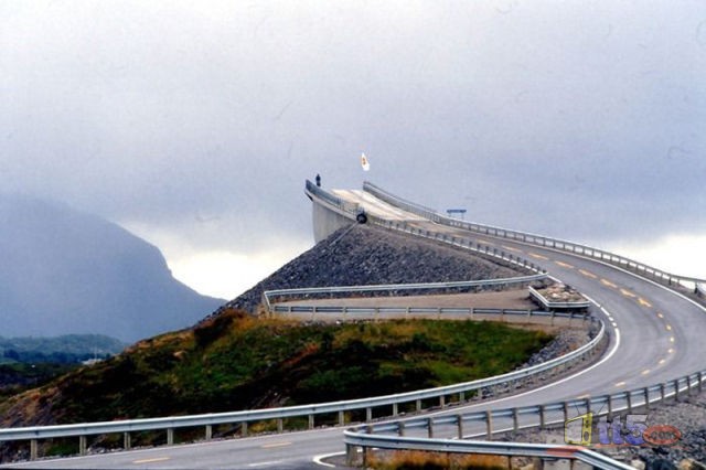 115.jpg