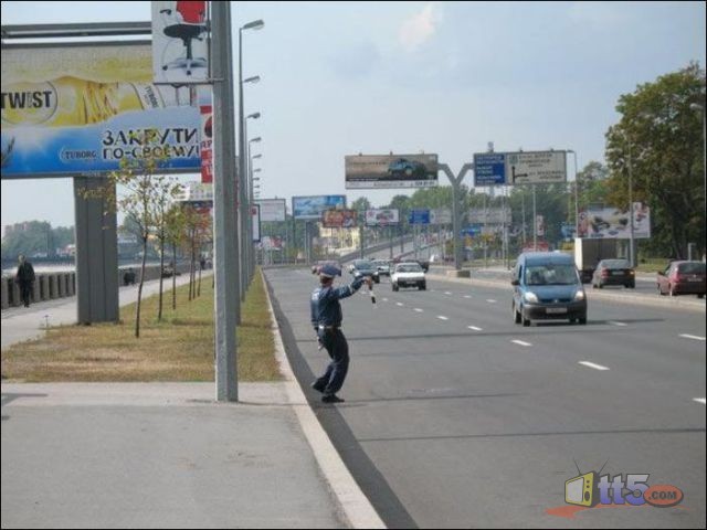 2393.jpg