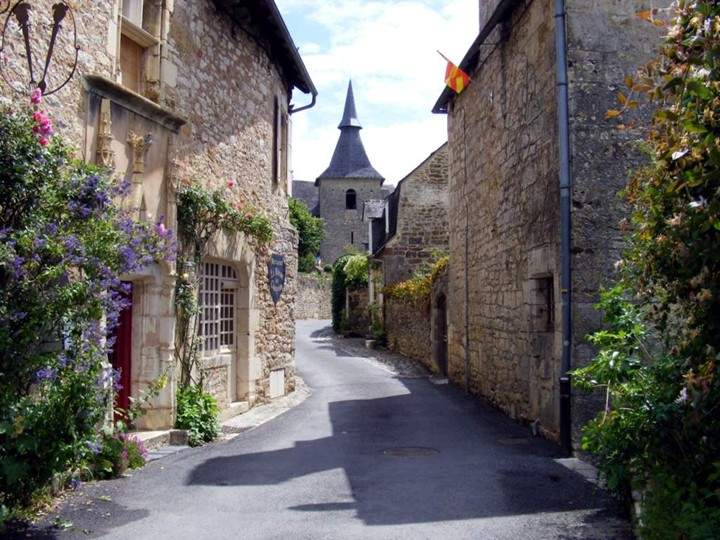 2593.jpg