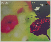 267.gif