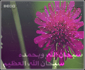 270.gif