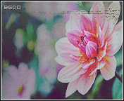 272.gif