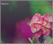 273.gif
